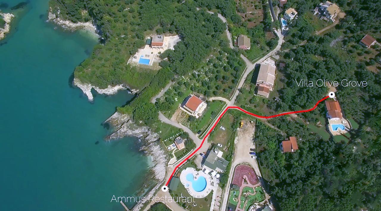 Villa Olive Grove And Sea View Agios Spyridon  المظهر الخارجي الصورة