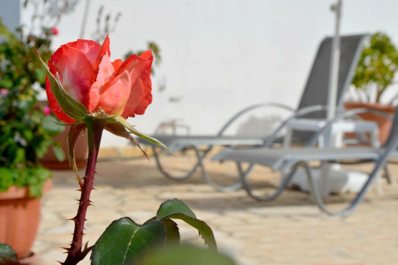 Villa Olive Grove And Sea View Agios Spyridon  المظهر الخارجي الصورة